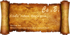 Csöndes Benigna névjegykártya